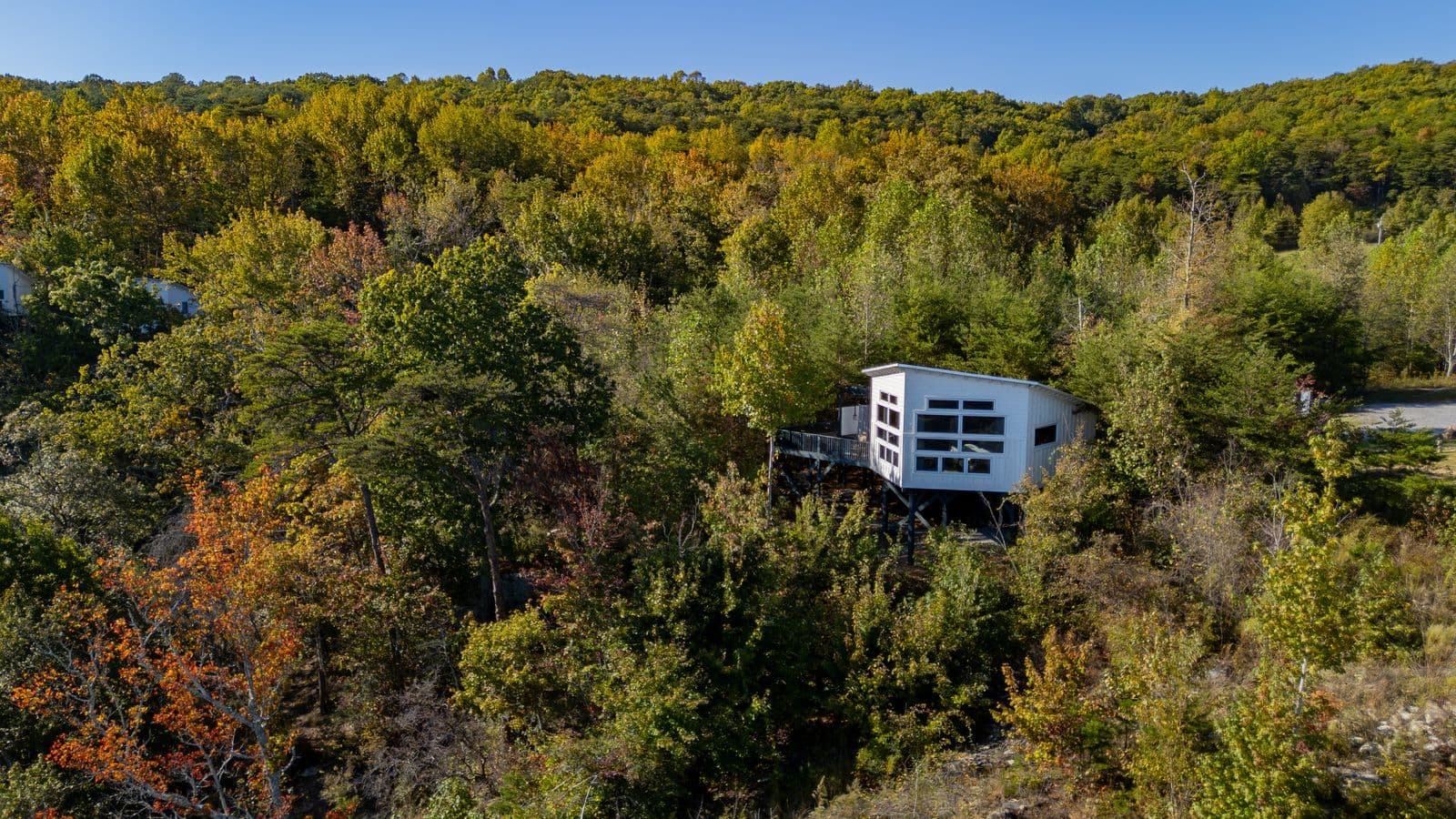 Studio Treehouse